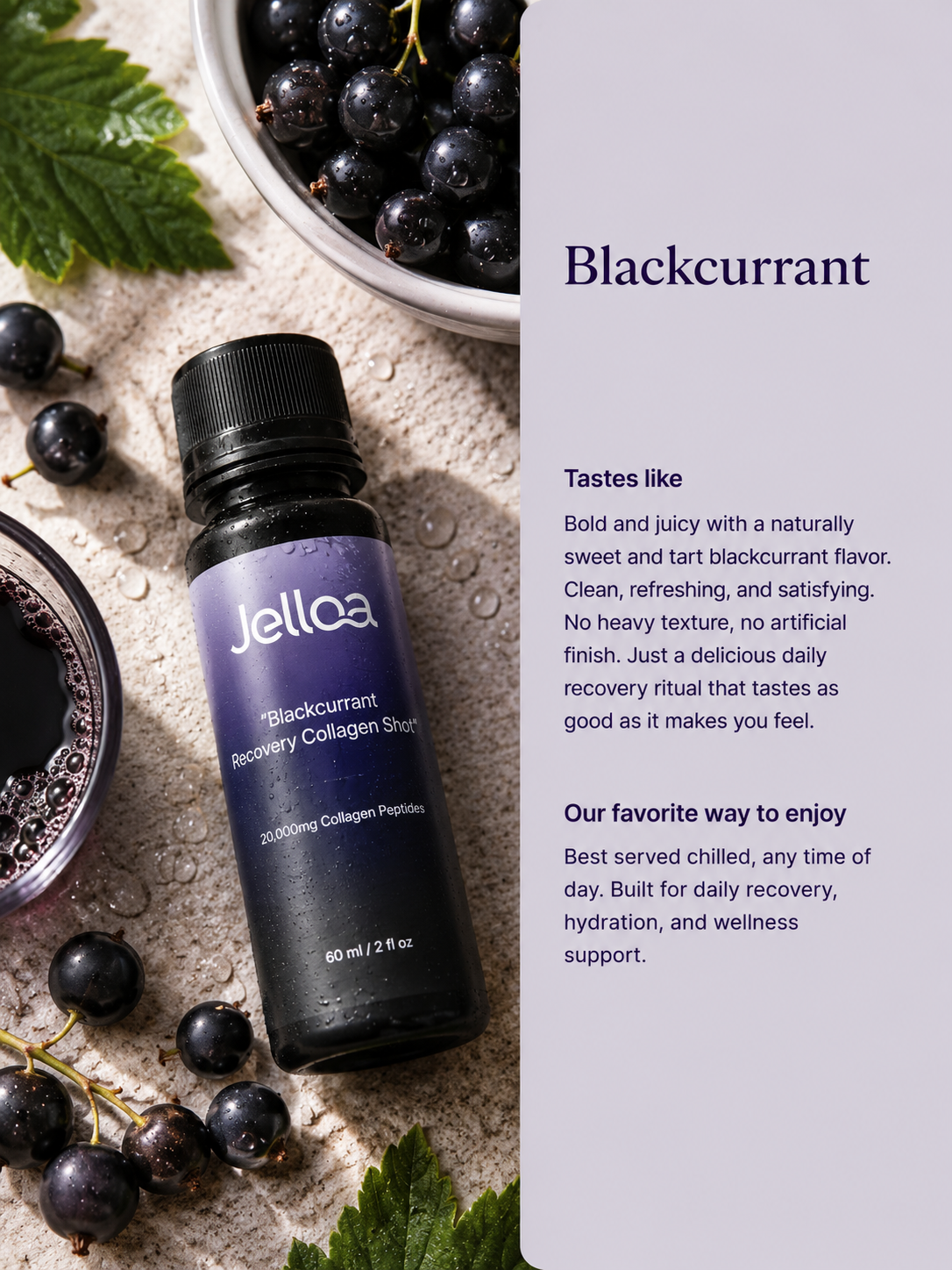 Lifestyle Blackcurrant